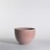 Cuvier bas contemporain
