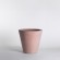 Cuvier contemporain